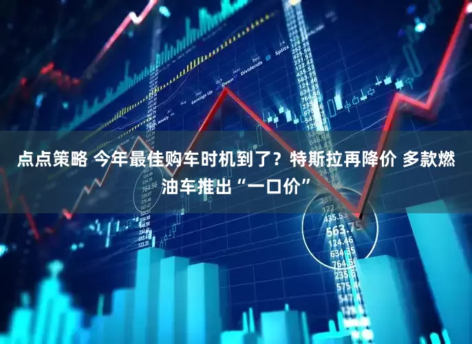 点点策略 今年最佳购车时机到了？特斯拉再降价 多款燃油车推出“一口价”
