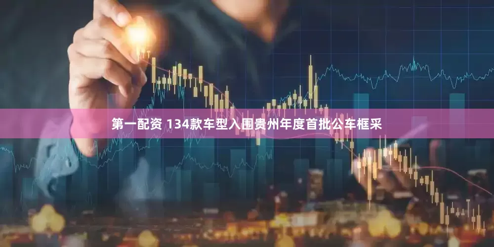 第一配资 134款车型入围贵州年度首批公车框采